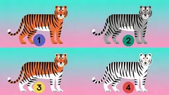 Fantastiskt test: Välj en tiger och ta reda på din största styrka