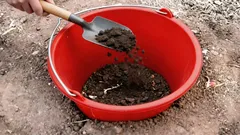 Varför gräva ner en hink mitt i rabatten: ett trädgårdsknep som få känner till