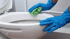 Inget medel har rengjort lika bra som det här – toaletten blev kritvit